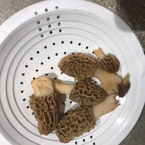 Meet your Posher, Matt